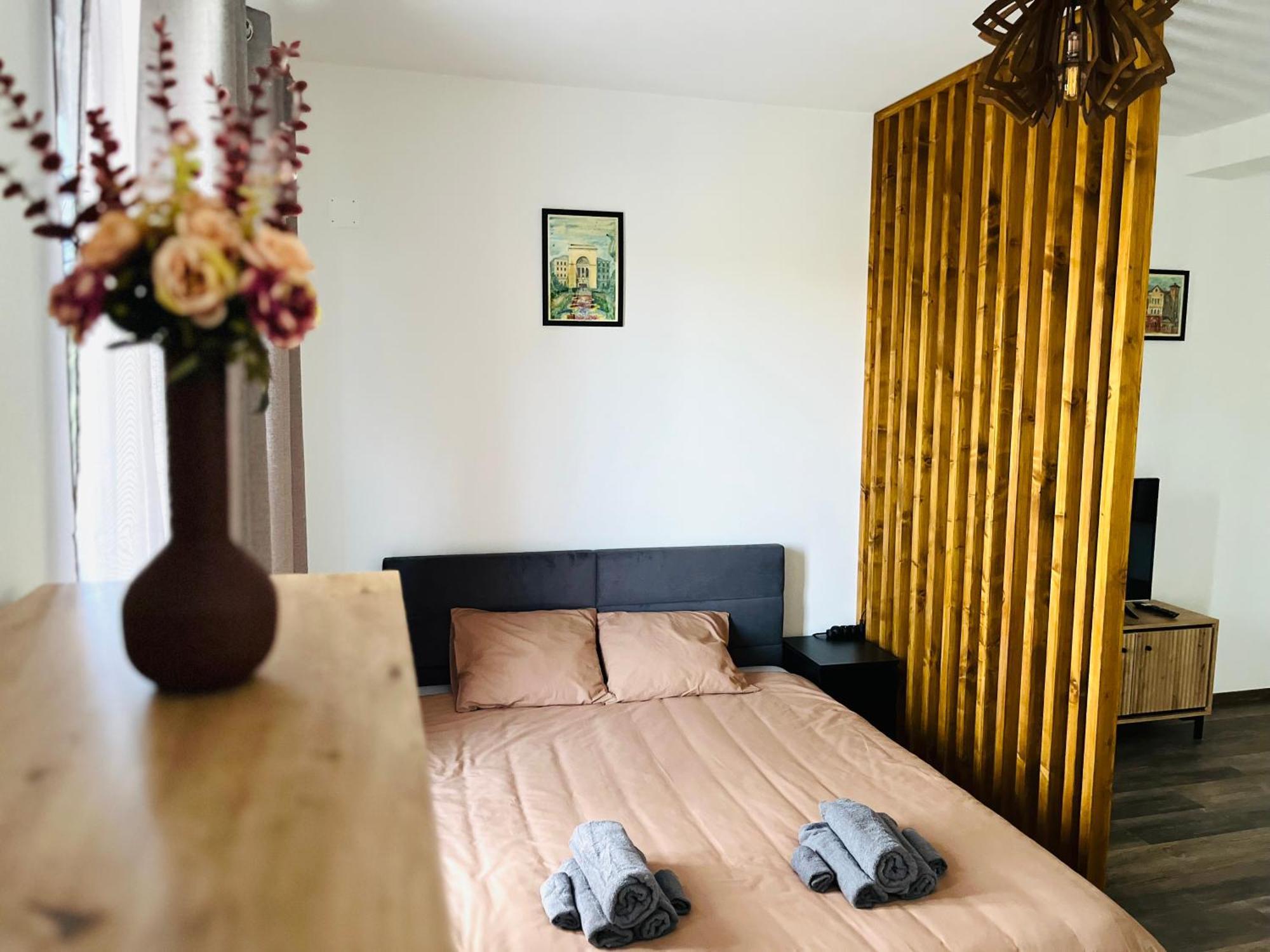 Apartament Studio Bian Timisoara Esterno foto