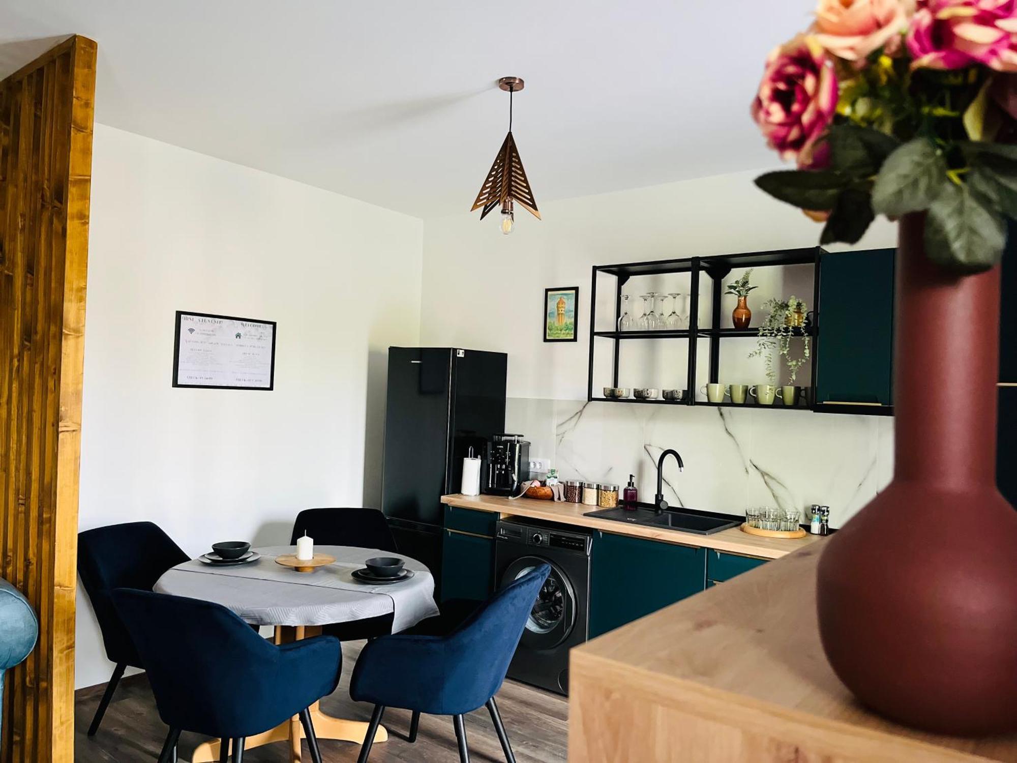 Apartament Studio Bian Timisoara Esterno foto